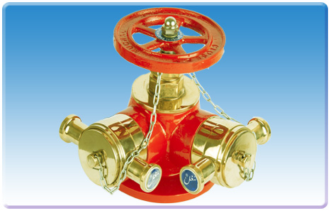 Hydrant Fire Valve Two Way with Flanges 